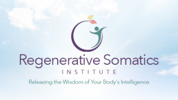 Regenerative Somatics Institute banner